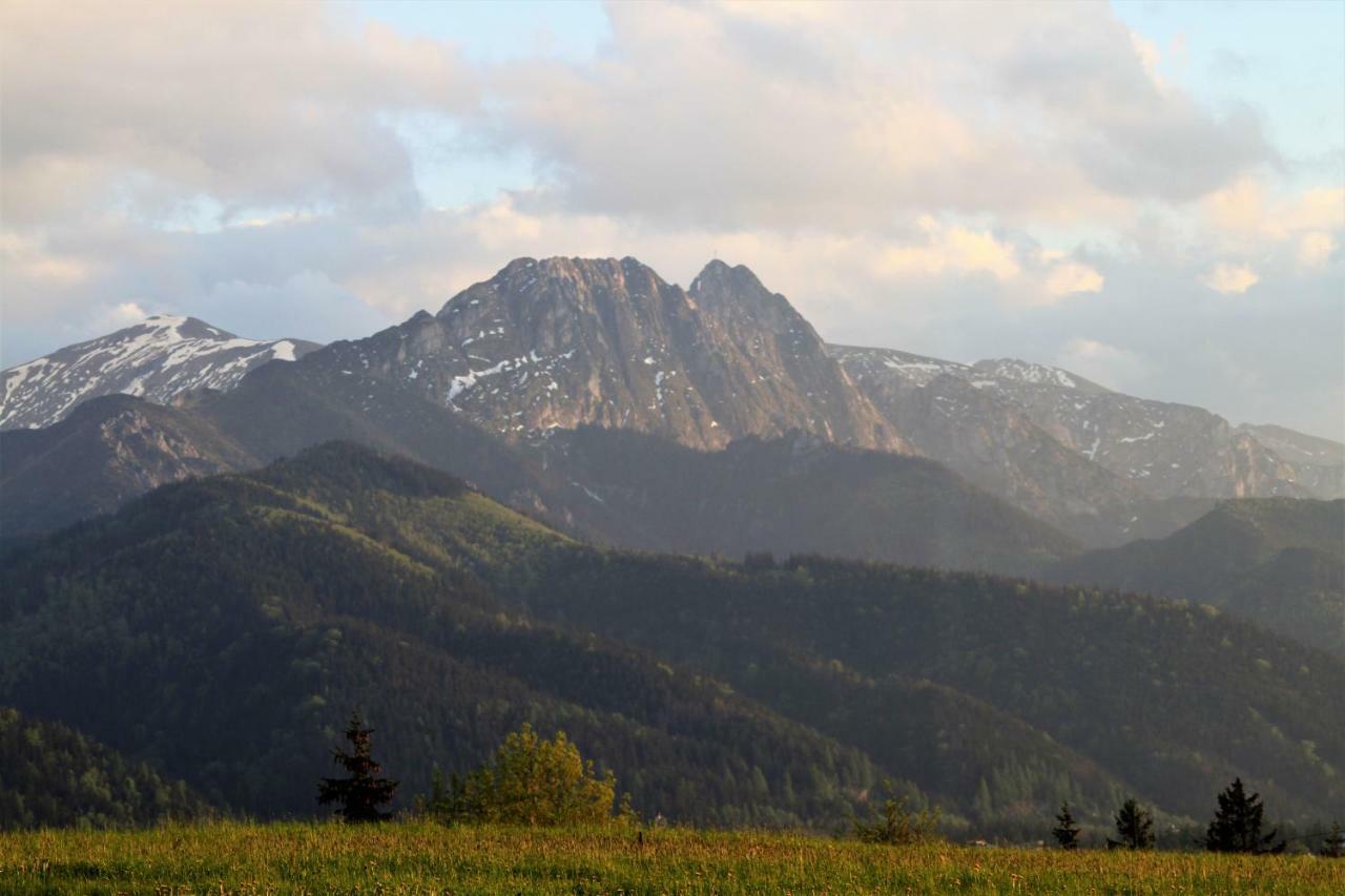 Willa U Stachoniow Zakopane Eksteriør bilde